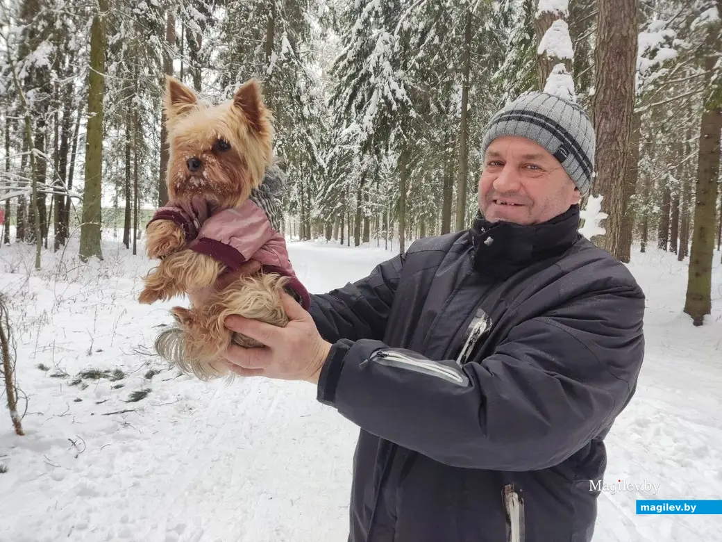 Могилев, Любужский лесопарк. 3.12.2022 г.