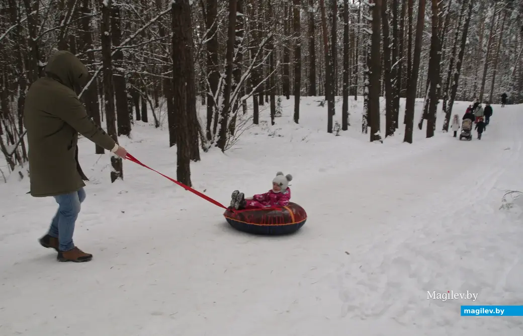 Могилев, Любужский лесопарк. 3.12.2022 г.