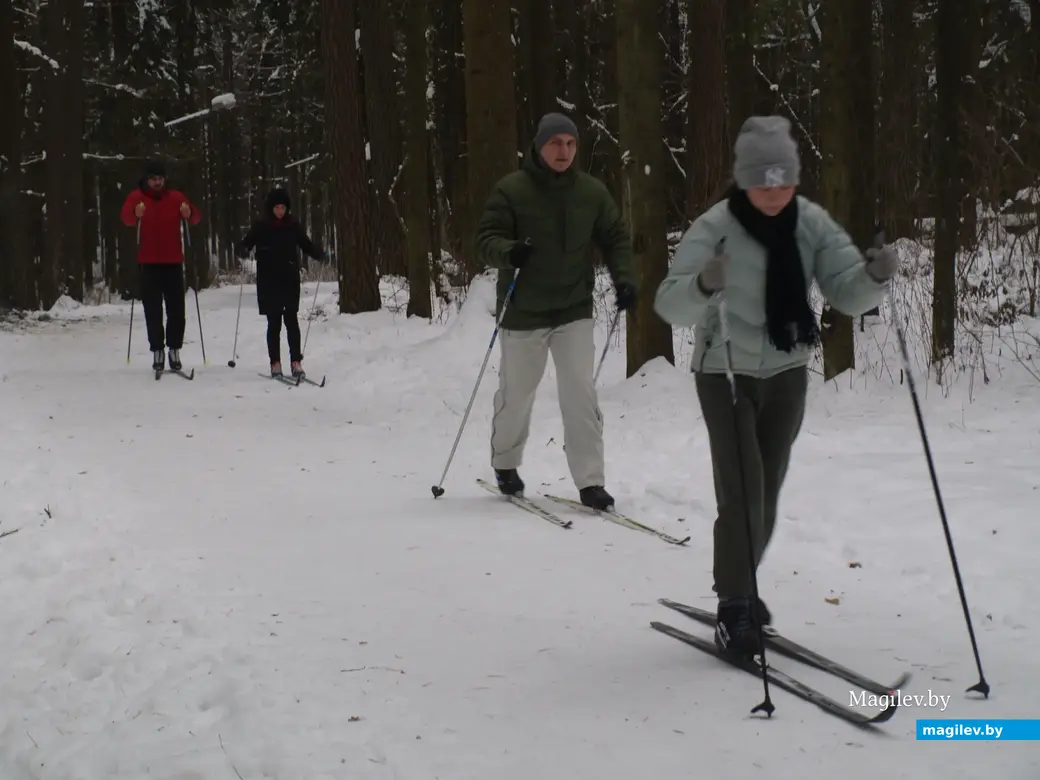 Могилев, Любужский лесопарк. 3.12.2022 г.