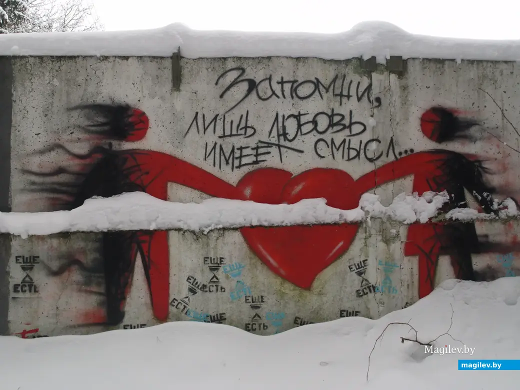 Могилев, Любужский лесопарк. 3.12.2022 г.