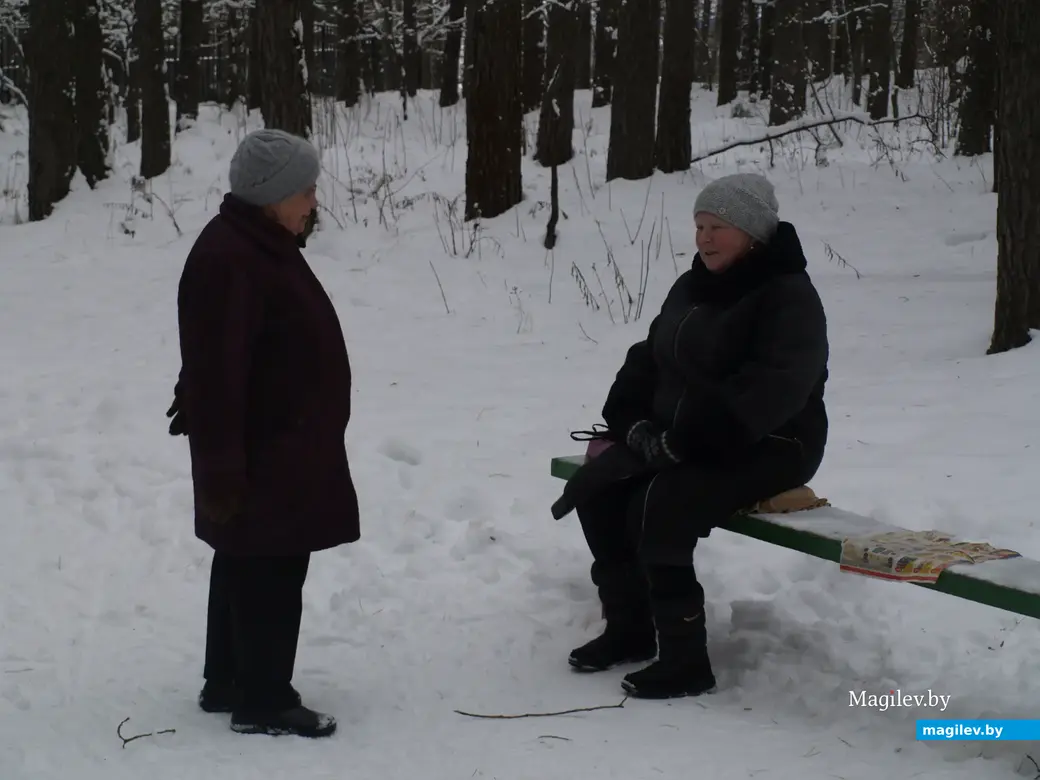 Могилев, Любужский лесопарк. 3.12.2022 г.