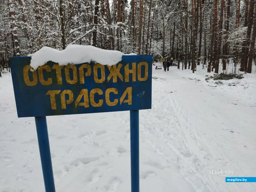 Могилев, Любужский лесопарк. 3.12.2022 г.