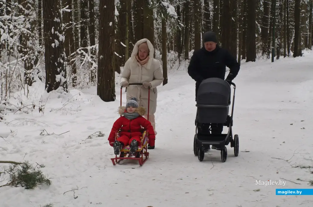 Могилев, Любужский лесопарк. 3.12.2022 г.