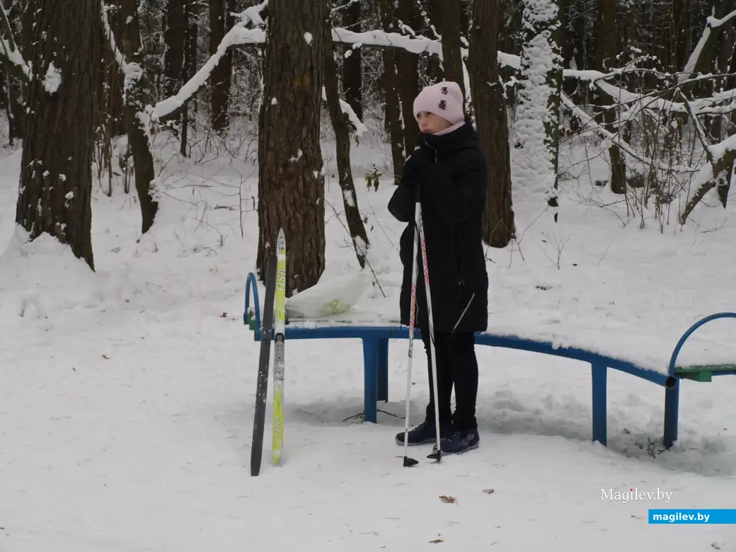 Могилев, Любужский лесопарк. 3.12.2022 г.