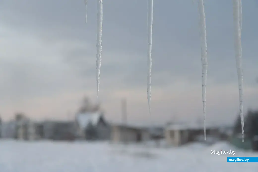 Декабрь 2022 г. Зима в деревне на Могилевщине