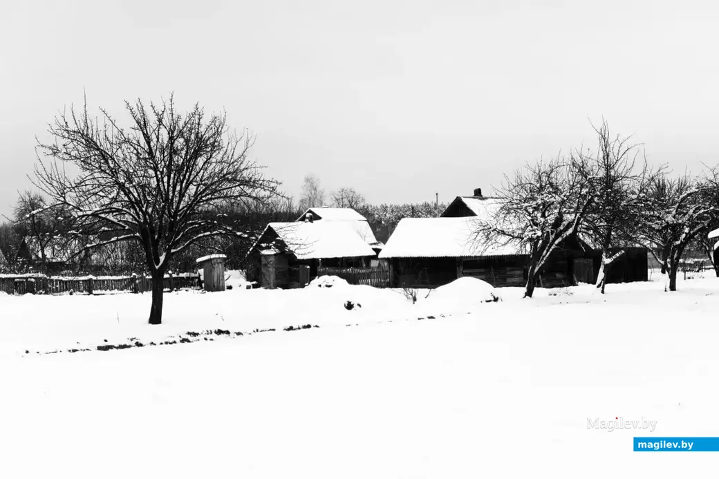 Декабрь 2022 г. Зима в деревне на Могилевщине