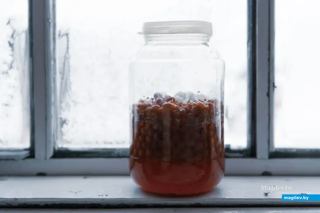 Декабрь 2022 г. Зима в деревне на Могилевщине