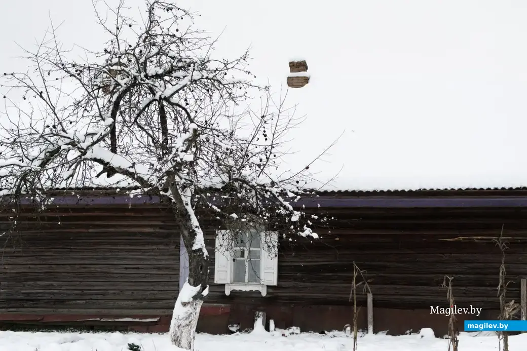 Декабрь 2022 г. Зима в деревне на Могилевщине