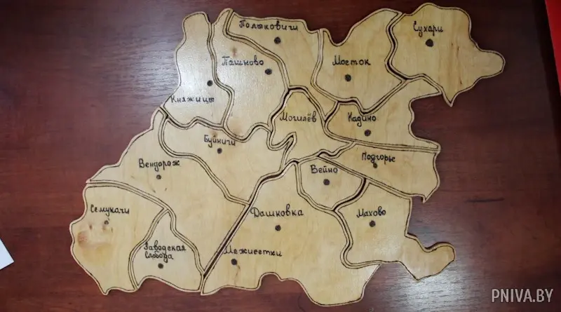 Районный этап республиканского конкурса «100 идей для Беларуси». Фото: pniva.by