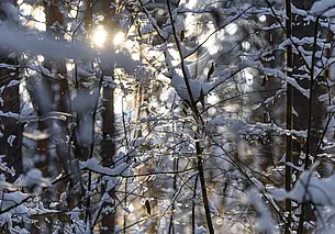 7 марта в Могилеве выдастся снежным