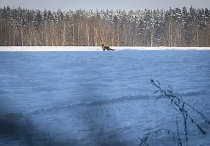 Небольшой снег и морозы до -10°C: прогноз погоды на неделю с 6 по 12 февраля