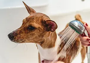 Розетки в оконных откосах и поддон для мытья собачьих лап: 5 удачных идей для ремонта