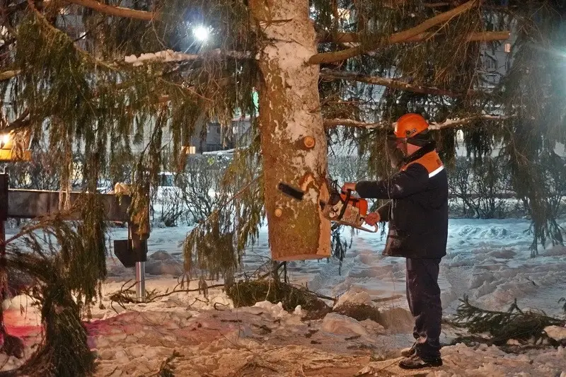 Установка елки у кинотеатра «Космос». Могилев, 6.12.2022 г. Фото: vestnikmogileva.by