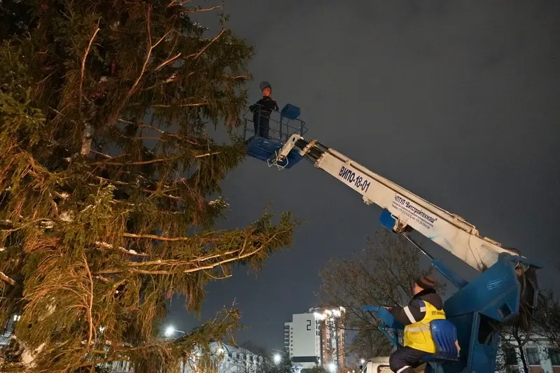 Установка елки у кинотеатра «Космос». Могилев, 6.12.2022 г. Фото: vestnikmogileva.by