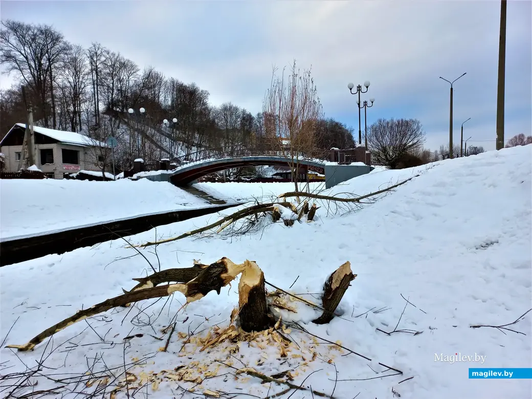 Могилев, улица Левая Дубровенка 06.12.2022 г.