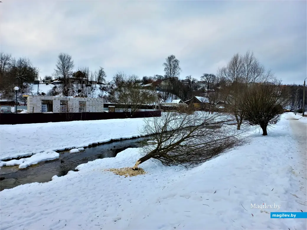 Могилев, улица Левая Дубровенка 06.12.2022 г.