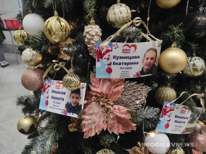 «Елка желаний» в универмаге «Центральный» в Могилеве. Фото: Mogilevnews.by