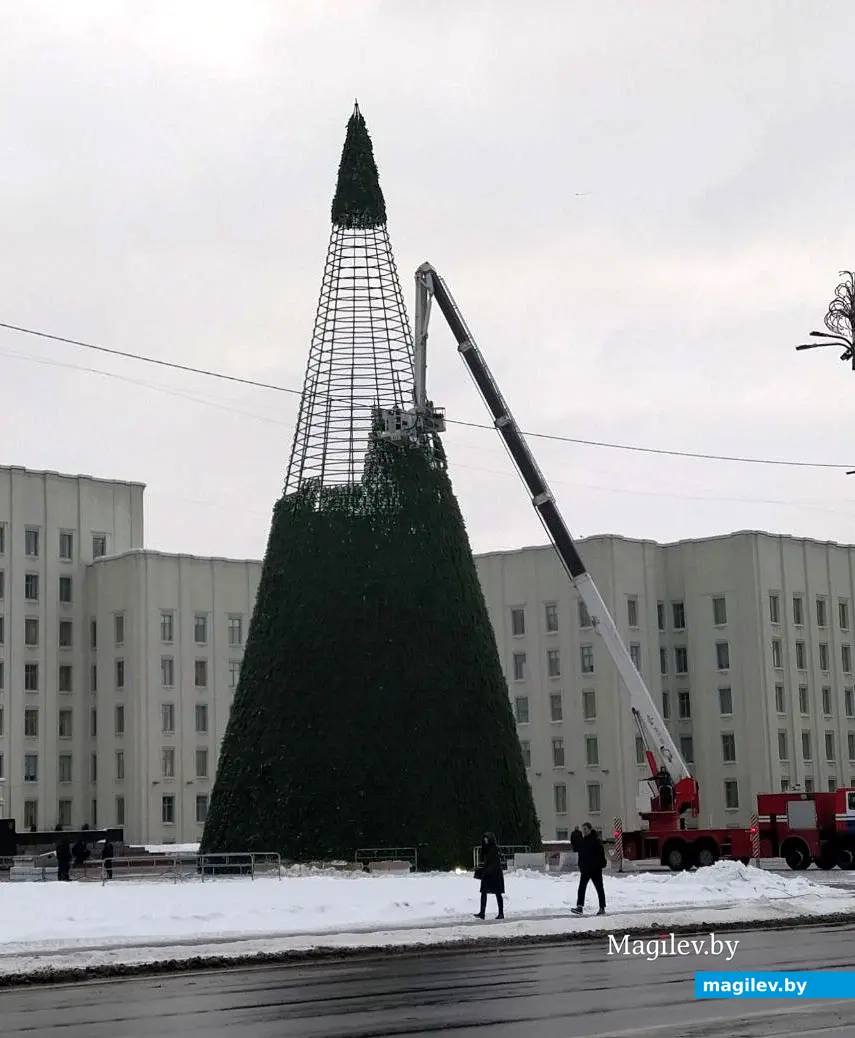 Установка новогодней елки. Могилев. Площадь Ленина, 8 декабря 2023 года.