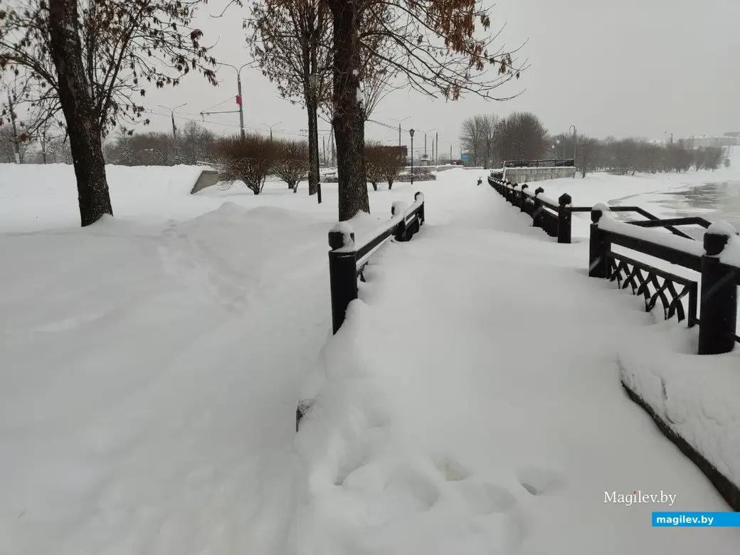 Снежное очарование Могилева. Пушкинский проспект. 11.12.2022 г