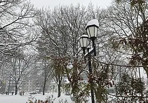 «Что происходит на свете?  А просто зима…» Снежное очарование Могилева на фото