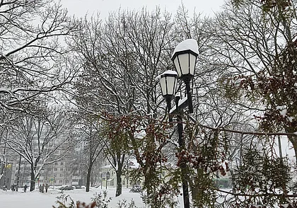 «Что происходит на свете?  А просто зима…» Снежное очарование Могилева на фото