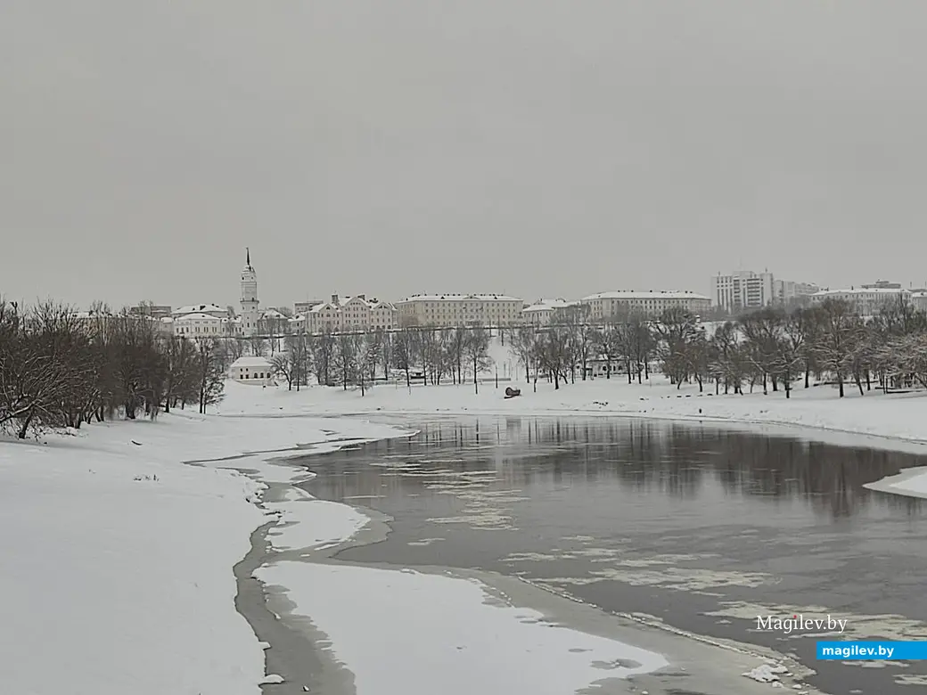 Снежное очарование Могилева. Пушкинский проспект. 11.12.2022 г