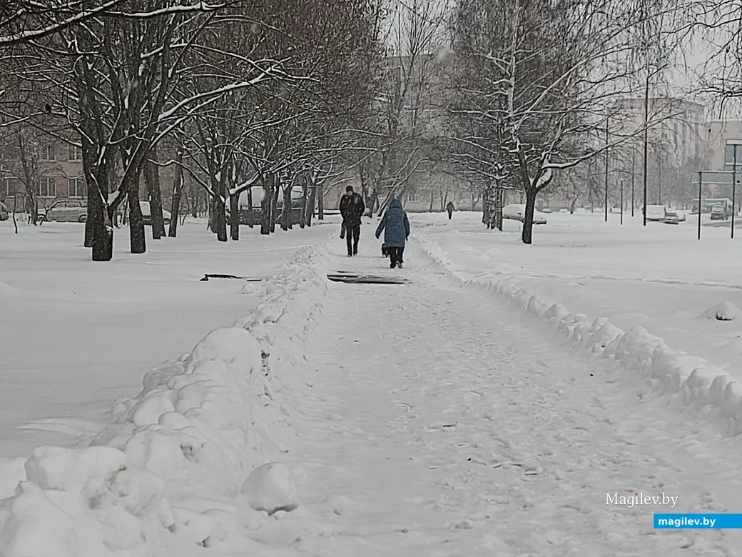 Снежное очарование Могилева. Пушкинский проспект. 11.12.2022 г