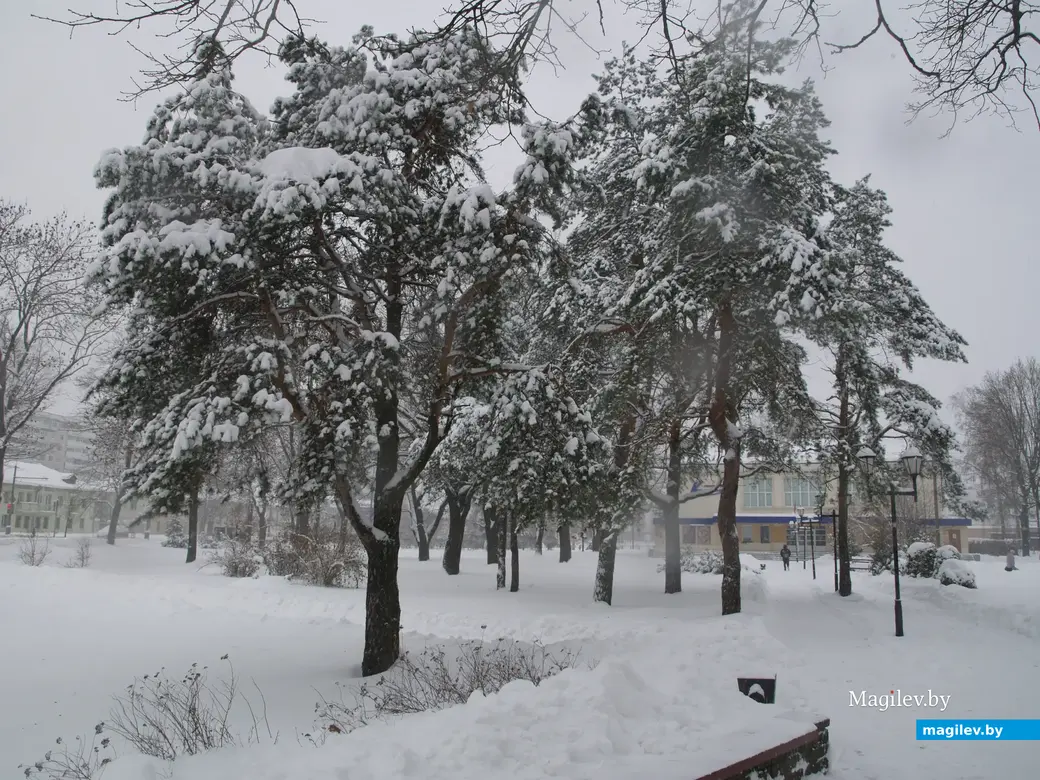 Снежное очарование Могилева. Пушкинский проспект. 11.12.2022 г