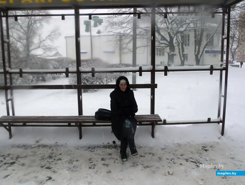 Снежное очарование Могилева. Пушкинский проспект. 11.12.2022 г