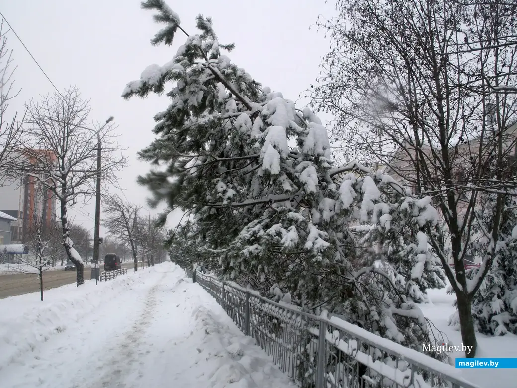 Снежное очарование Могилева. Пушкинский проспект. 11.12.2022 г