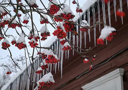 Настоящая зима наступает досрочно: прогноз погоды с 27 ноября по 3 декабря