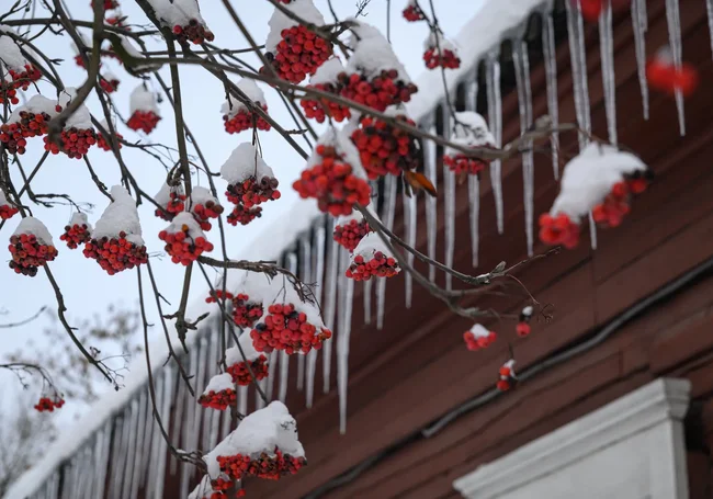 Настоящая зима наступает досрочно: прогноз погоды с 27 ноября по 3 декабря