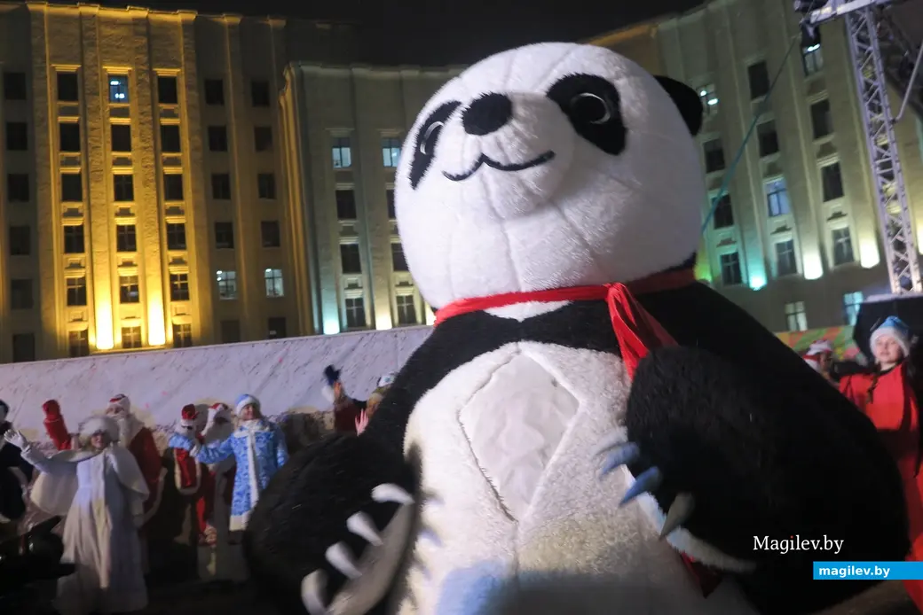 15.12.2022 г. Могилев, пл.Ленина. На главной елке Могилева зажгли новогодние огни