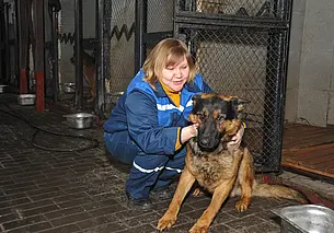 Как понять, что ваш питомец отравился и что делать? Отвечает ветеринарный врач