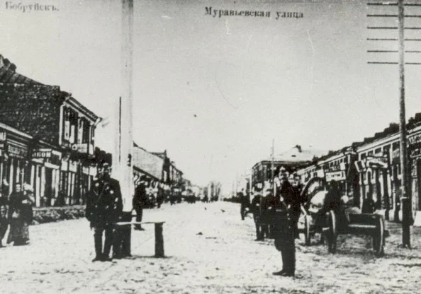 Красивые особняки Бобруйска. Дом ЕКО