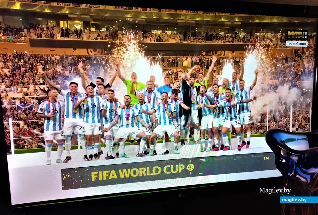 Ликуют чемпионы! Фрагмент интернет-трансляции. Могилев, 18.12.2022 г.