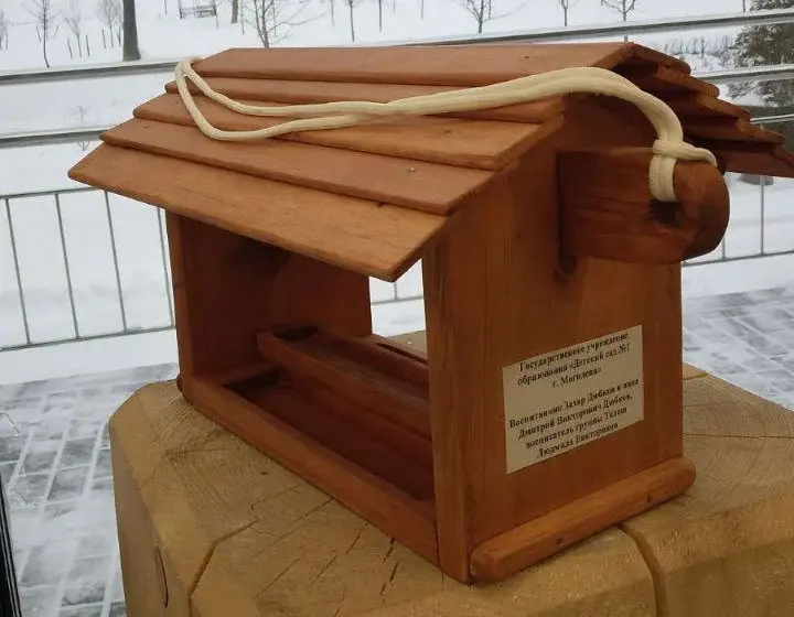 Конкурсная работа. Конкурс кормушек для птиц в парке Подниколья. Могилев декабрь 2022 года.