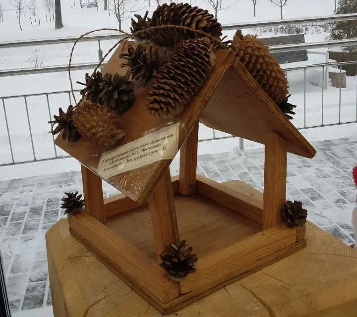 Конкурсная работа. Конкурс кормушек для птиц в парке Подниколья. Могилев декабрь 2022 года.