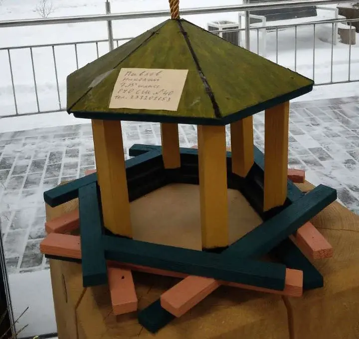 Конкурсная работа. Конкурс кормушек для птиц в парке Подниколья. Могилев декабрь 2022 года.