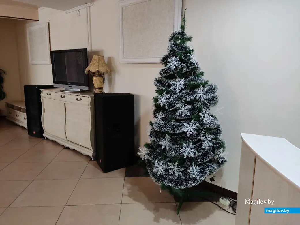 Какой же ресторан без новогодней елочки? Ресторан «Турист». Могилев, 21.12.2022 г.