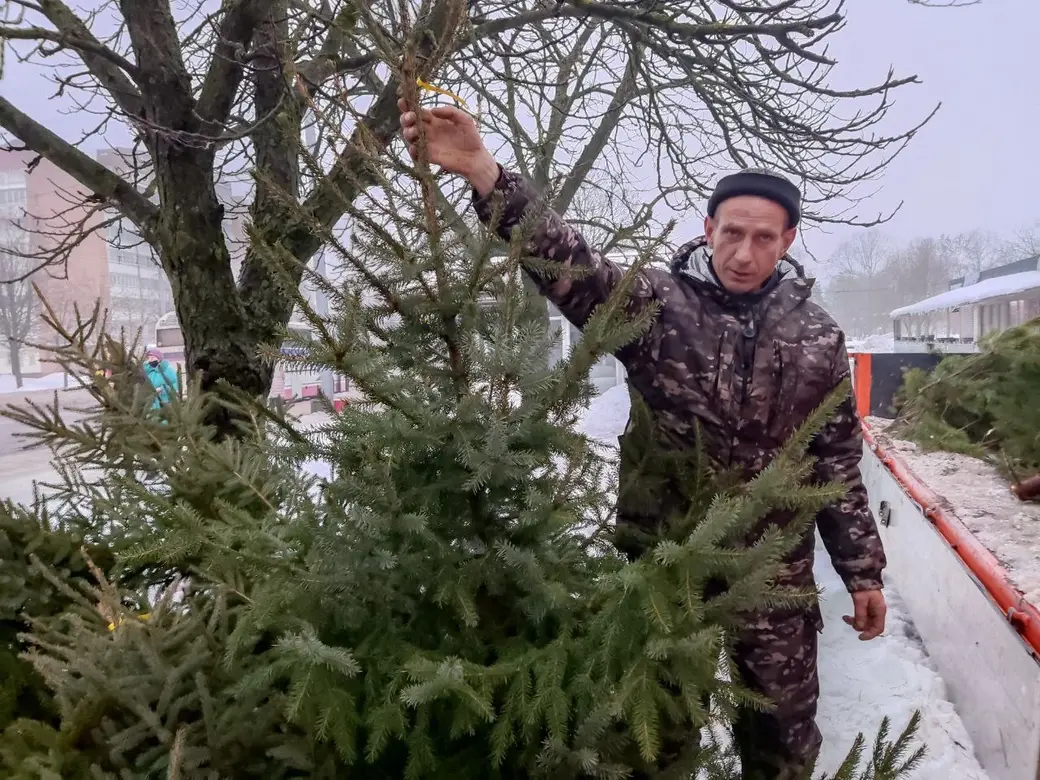 И на такую высокую елку найдутся покупатели! Могилев, 22.12.2022 г.