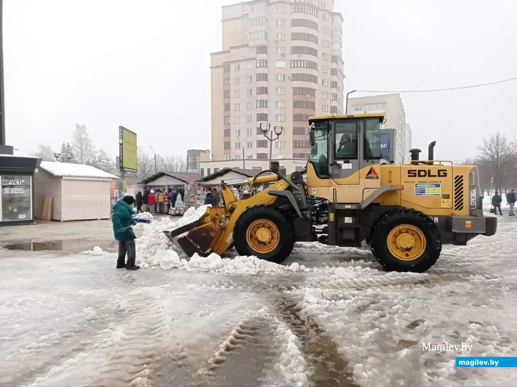 В Могилеве открылись елочные базары: посмотрели, приценились | magilev.by