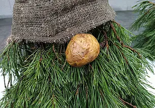 Куда сходить в Могилеве в ближайшие выходные: наш гид