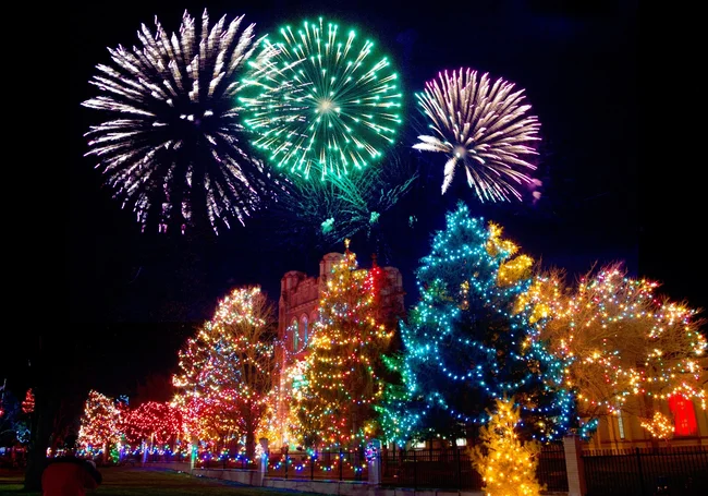 Домашние животные и салюты: ветеринар рассказал, как уберечь животных от стресса