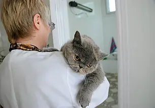 В Беларуси деятельность ветклиник хотят лицензировать. Айболитов станет меньше?