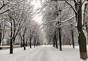 Днем температура плюсовая: прогноз погоды на 21 и 22 декабря