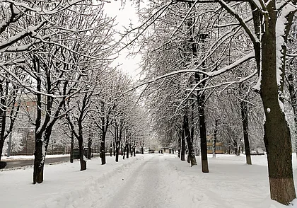Днем температура плюсовая: прогноз погоды на 21 и 22 декабря