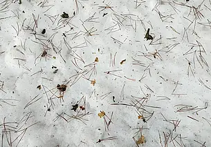 Тело мужчины обнаружено в Могилевском районе: причина гибели – замерз