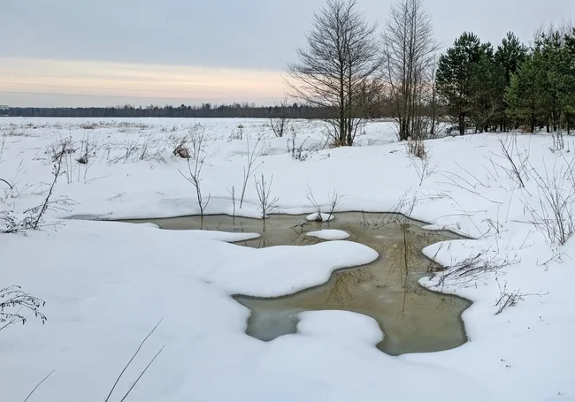 Снегопадов не ожидается, но морозы пока не отступают: погода в Могилеве 17 февраля