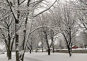 Морозы возвращаются: прогноз погоды на первую неделю января 2023-го